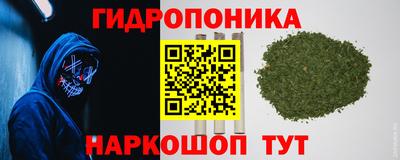 ПСИЛОЦИБИНОВЫЕ ГРИБЫ Дубна