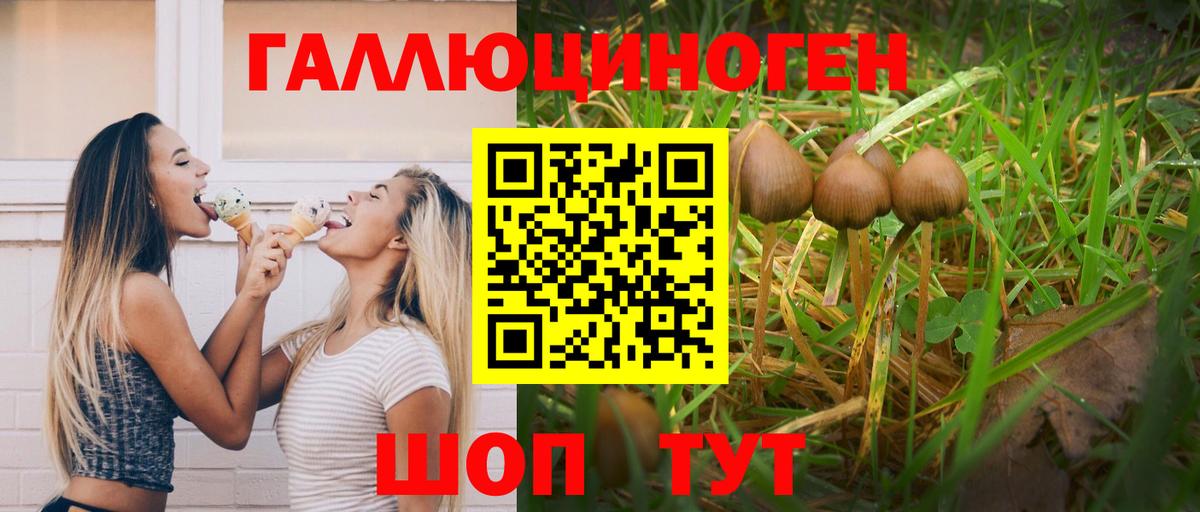 Галлюциногенные грибы мухоморы Мариинск